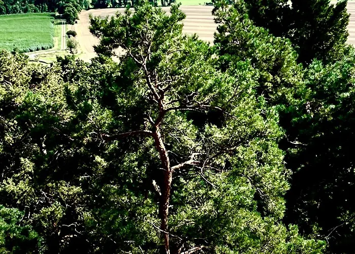 Σπίτι διακοπών 